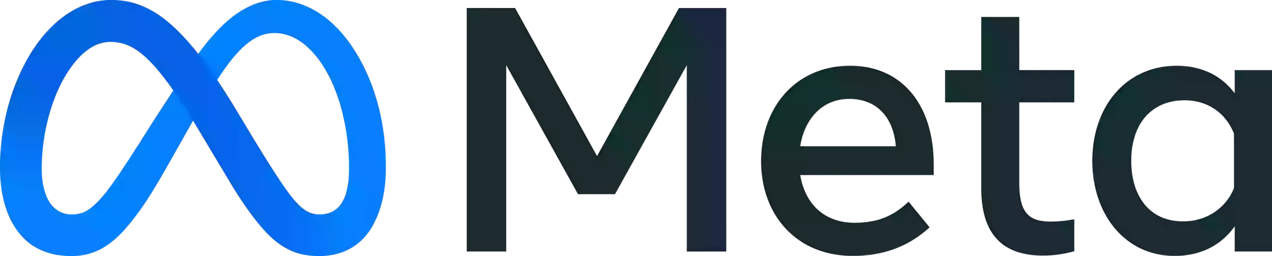 meta-logo meta logo